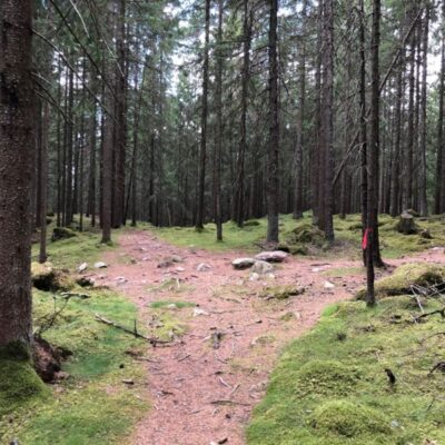 Lassalyckan Trail