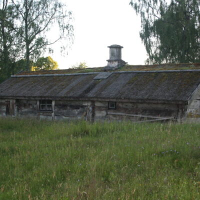 Lemmingaleden