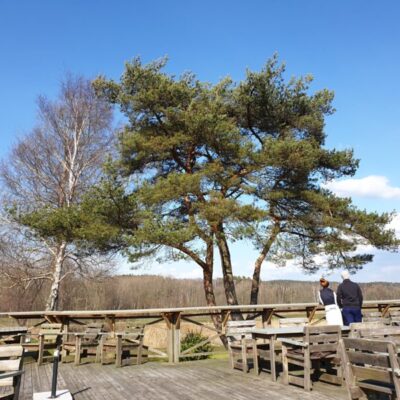 Lerjedalens golfkrog