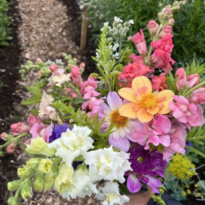 Grönsaksförsäljning och blomsterplock