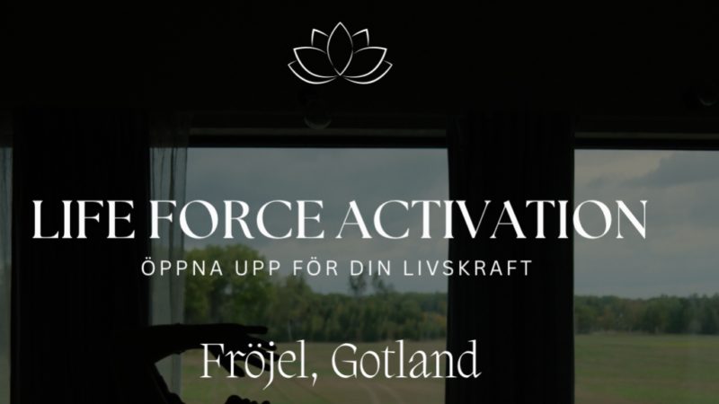 Life Force Activation