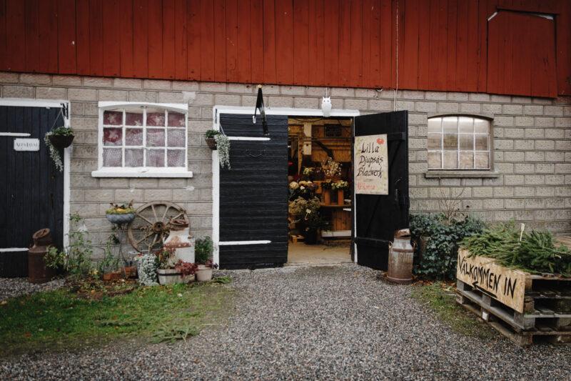 Lilla Djupsås bladwerk