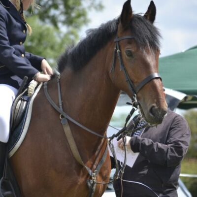 Lilla Edets ridklubb – LERK