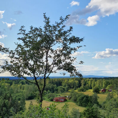 Ljungstorp