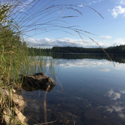 Lysetjärn fvo en