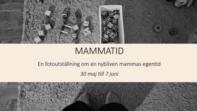 Mammatid