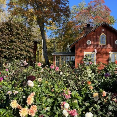 Marknad och fest på Hammartorps Trädgårdar