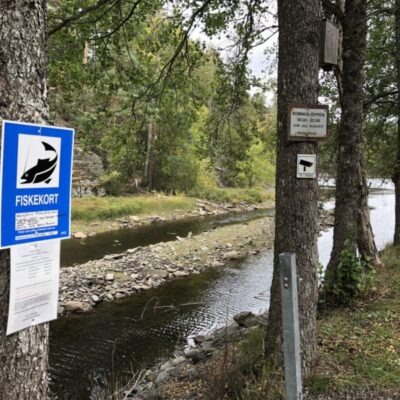 Marsjöns FVO