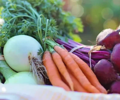 Mathantverssafari vår