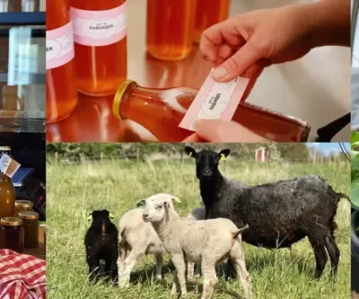 Matsafari norra Skaraborg Midsommar