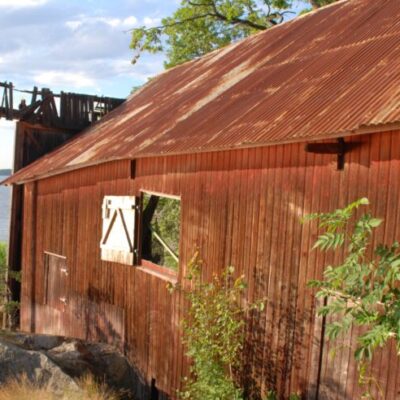 Meta abborre i Paradisviken