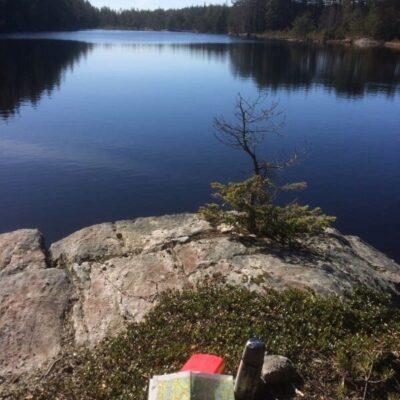 Mickelskogen – Vaktarkullen