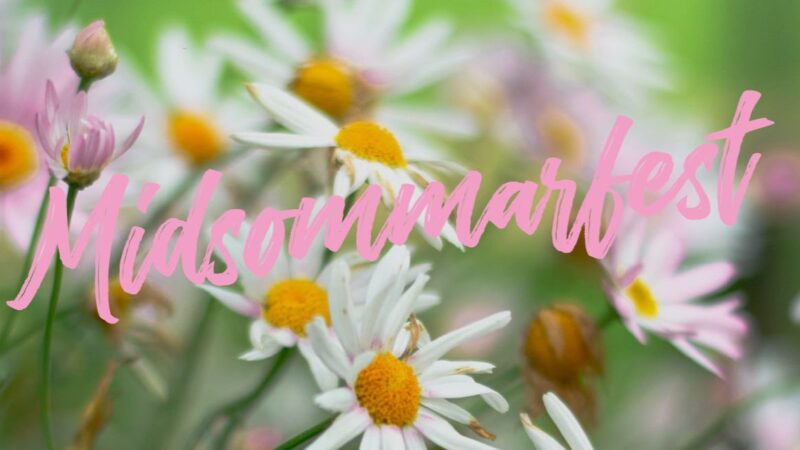 Midsommarmiddag 26