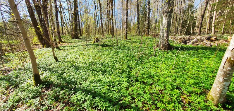 Mini-retreat med yoga och natur i Kroppefjäll