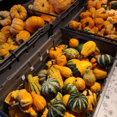 Morrarö odlingar & nöjen