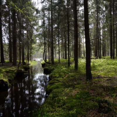 Motion Track South Dals Långed