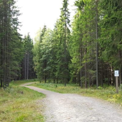 MTB Hanebol–Forsbackabaden