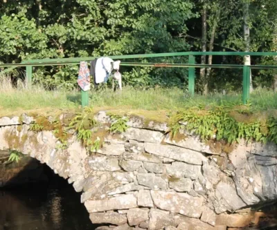 Nårungaleden