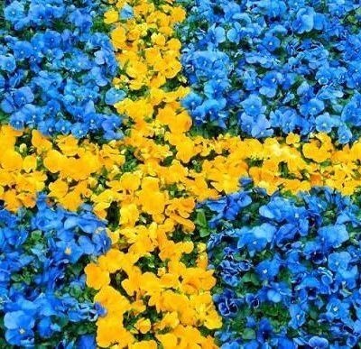 Nationaldagen – Årskogslokalen