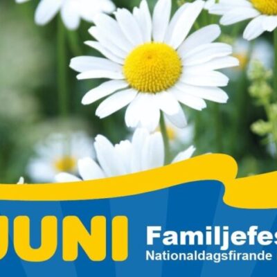 Nationaldagsfirande i Stadsparken Sandviken
