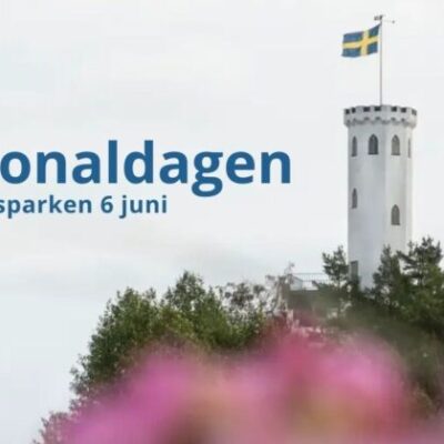 Nationaldagsfirande i Strykjärnsparken