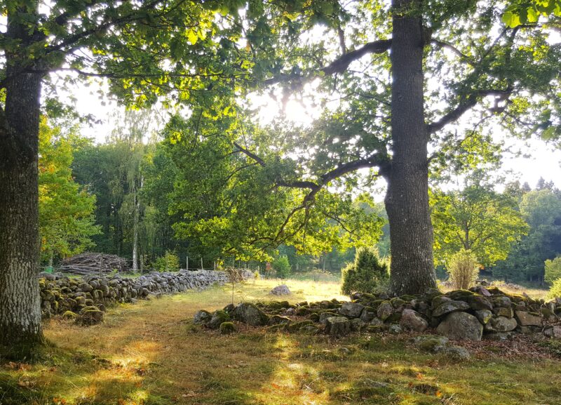 Nature Reserve Garparör