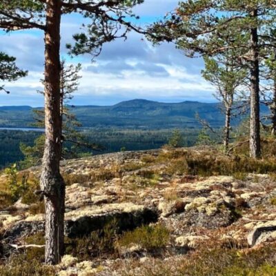 Naturnatten – Haghällorna i Älgered