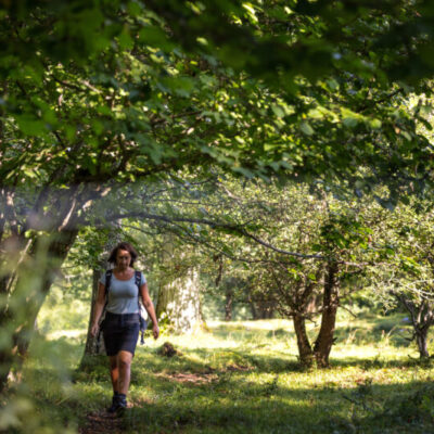 Naturreservat Högsböla ängar