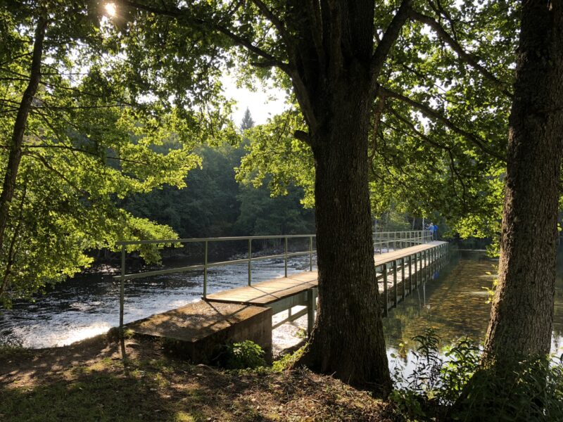 Naturreservat Höljerudsforsarna en