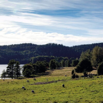 Naturreservat Kölviken