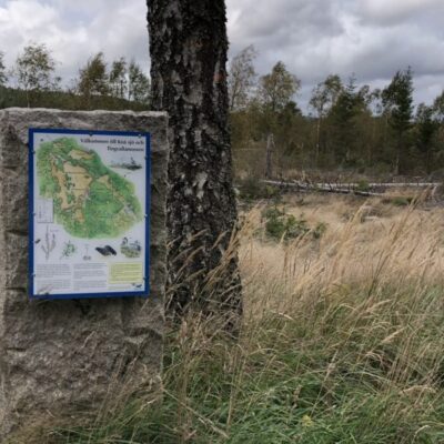 Naturreservat Tingvallamossen en