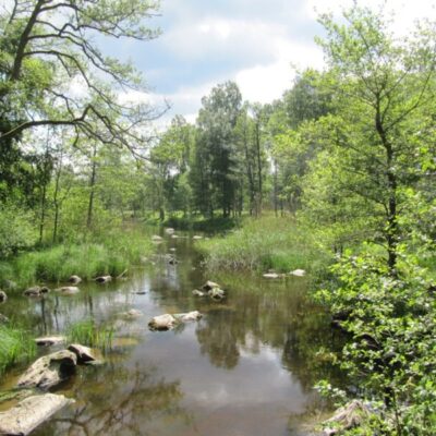 Naturreservatet Gullspångsälven