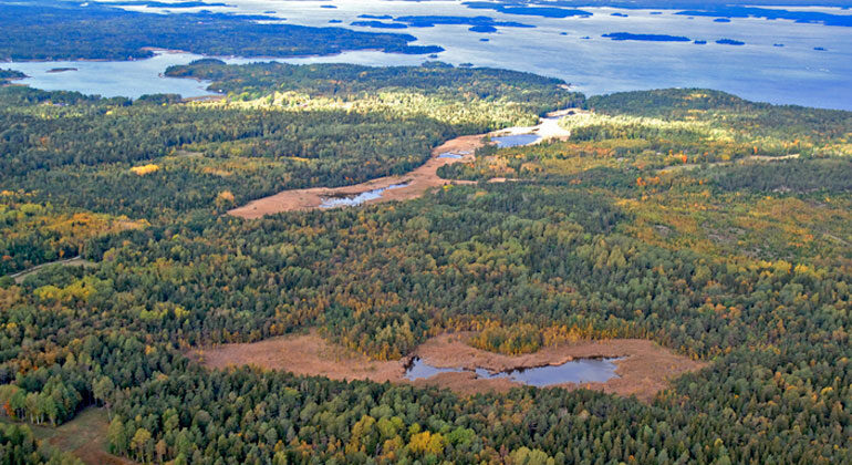Naturrestaurering i Häverö-Bergby naturreservat