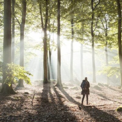 Natursköna vandringar i Båstad