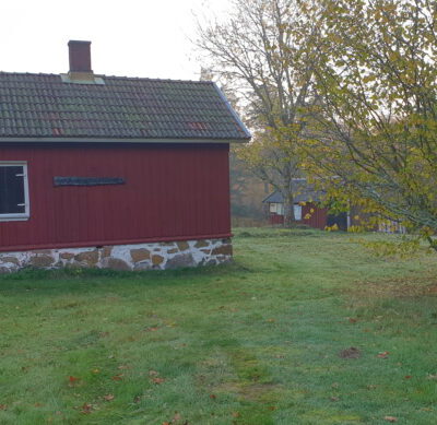 Naturskyddsföreningen