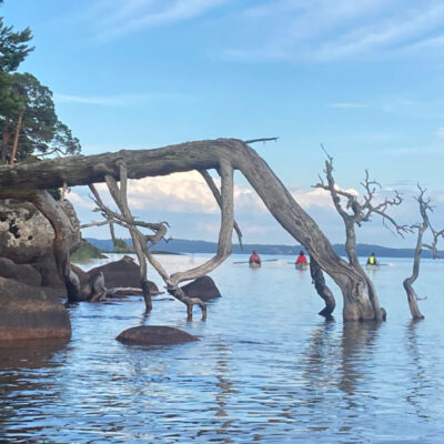 Naturvägledare norra Vättern