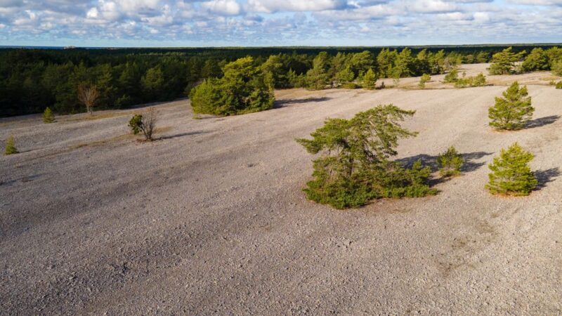 Naturvandring i den föreslagna nationalparken Bästeträsk