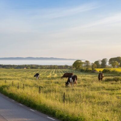 Njut av Båstad & Bjärehalvön