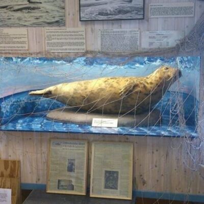 Nordanstigs Kustmuseum