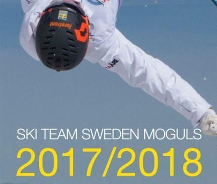 Nordiska cupen i puckelpist