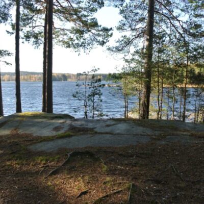 Norra Lelångs FVO