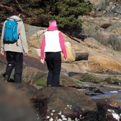 Nötholmen nature reserve