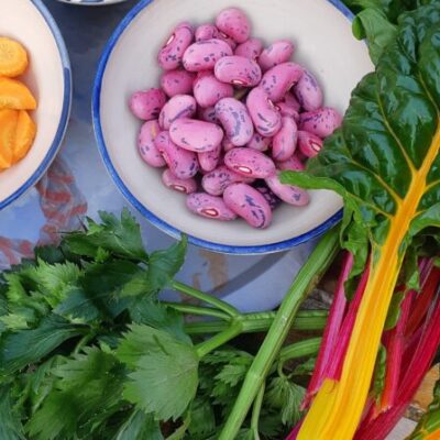 Odla ätbart – Hållbart och Resurseffektivt!