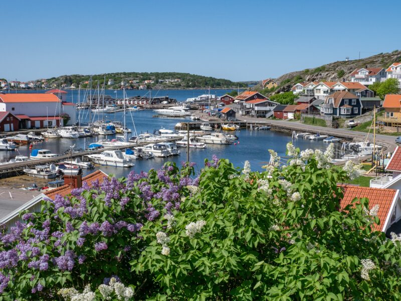 Ön Björkö