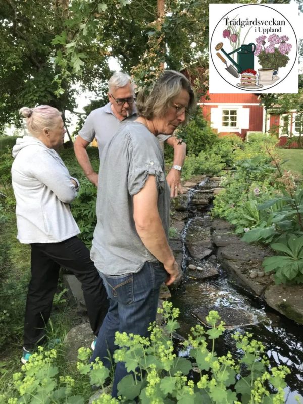 Öppen trädgård hos Ylva och Kjell Mattson – Sätuna