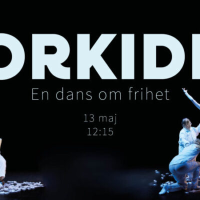 Orkidé – En dans om frihet