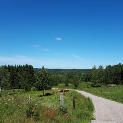 Paket cykel och spa