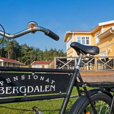 Pensionat Bergdalen