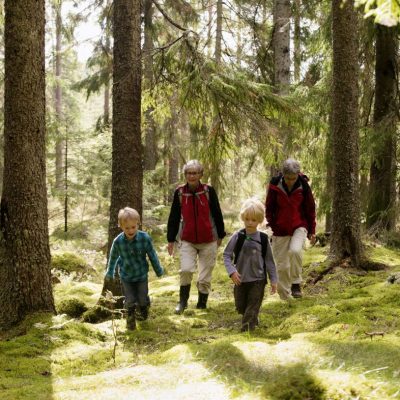Rackstadskogen Naturreservat