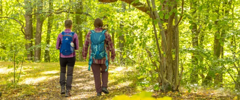 Pilgrimsleden -Hiking package